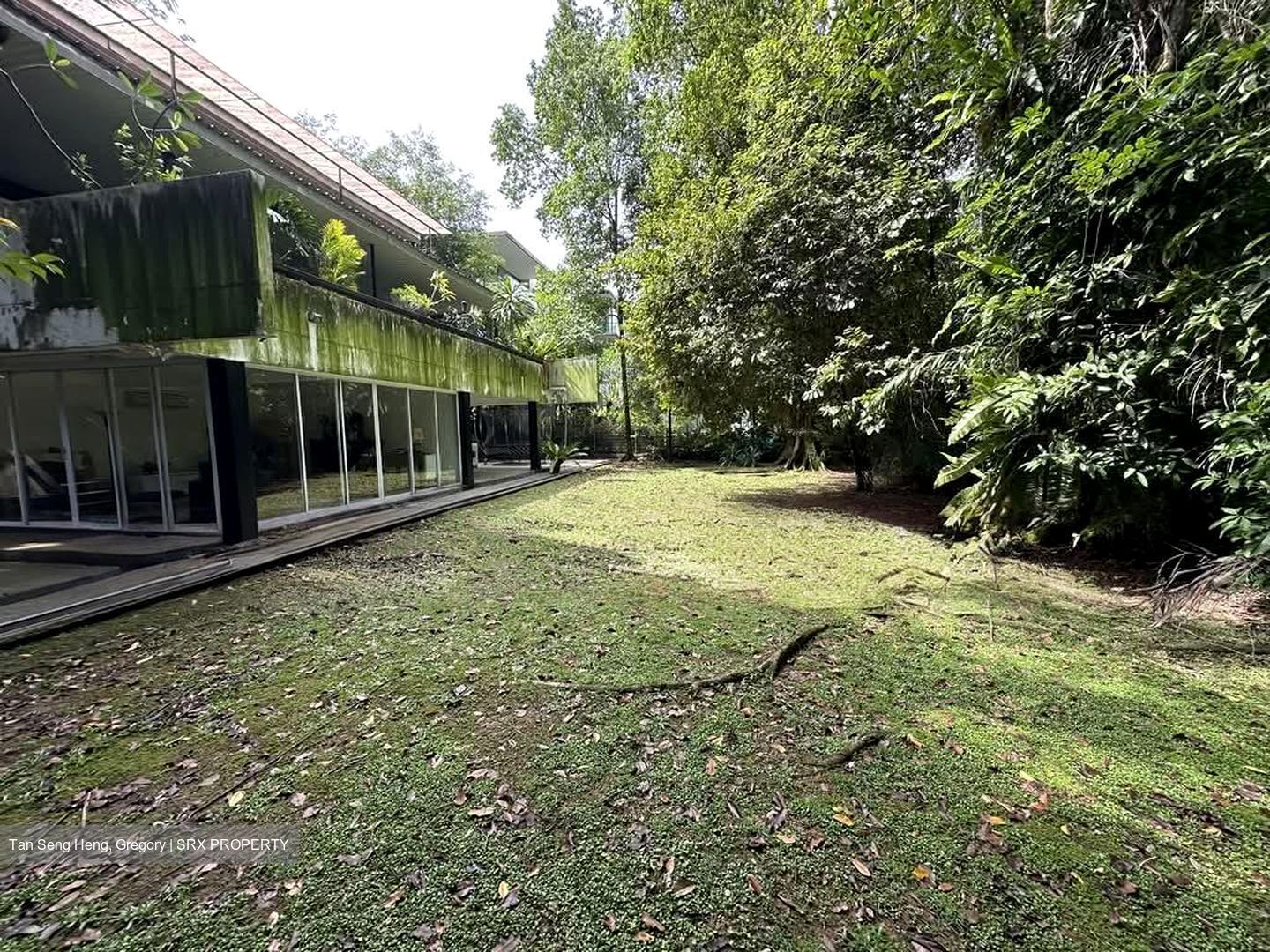 White House Park (D10), Detached #534249101